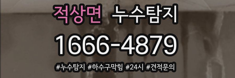 누수닥터 누수탐지