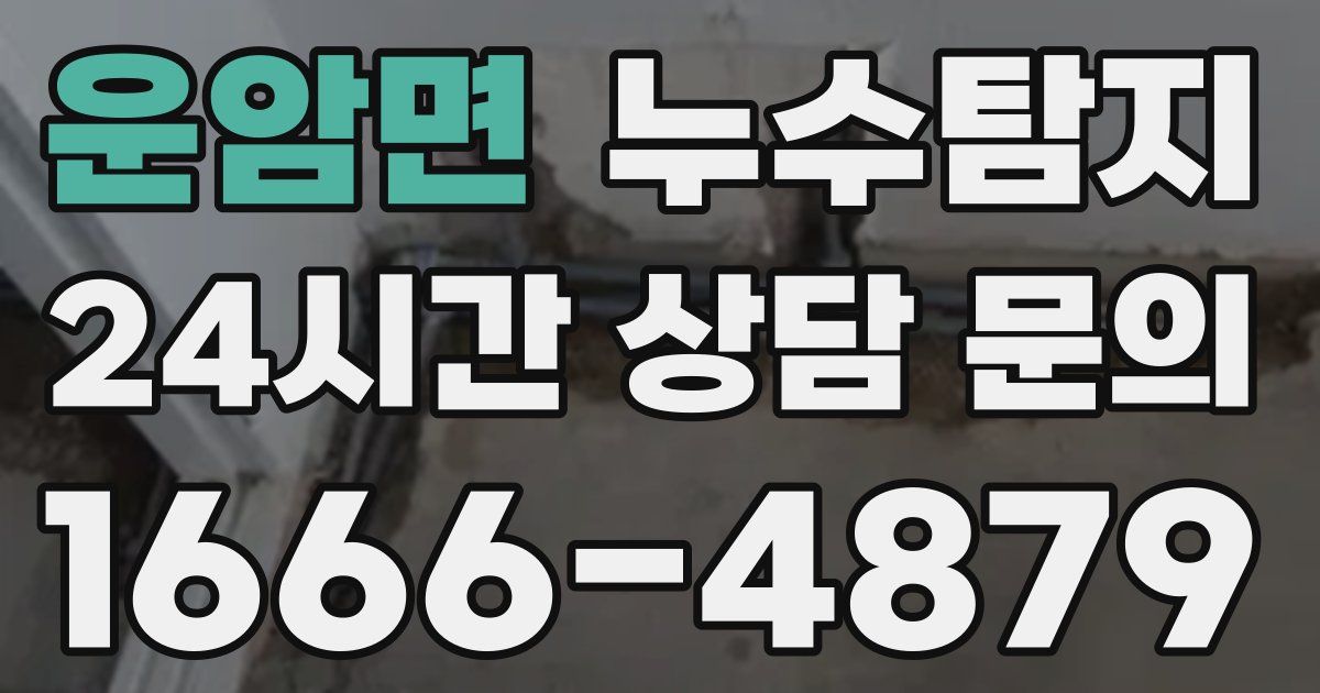 하수구막힘