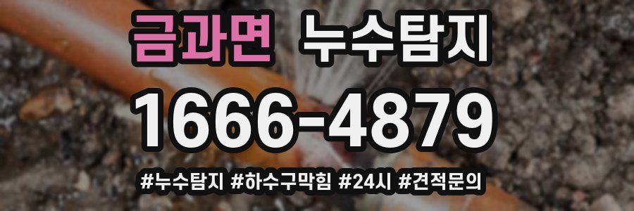 누수닥터 누수탐지