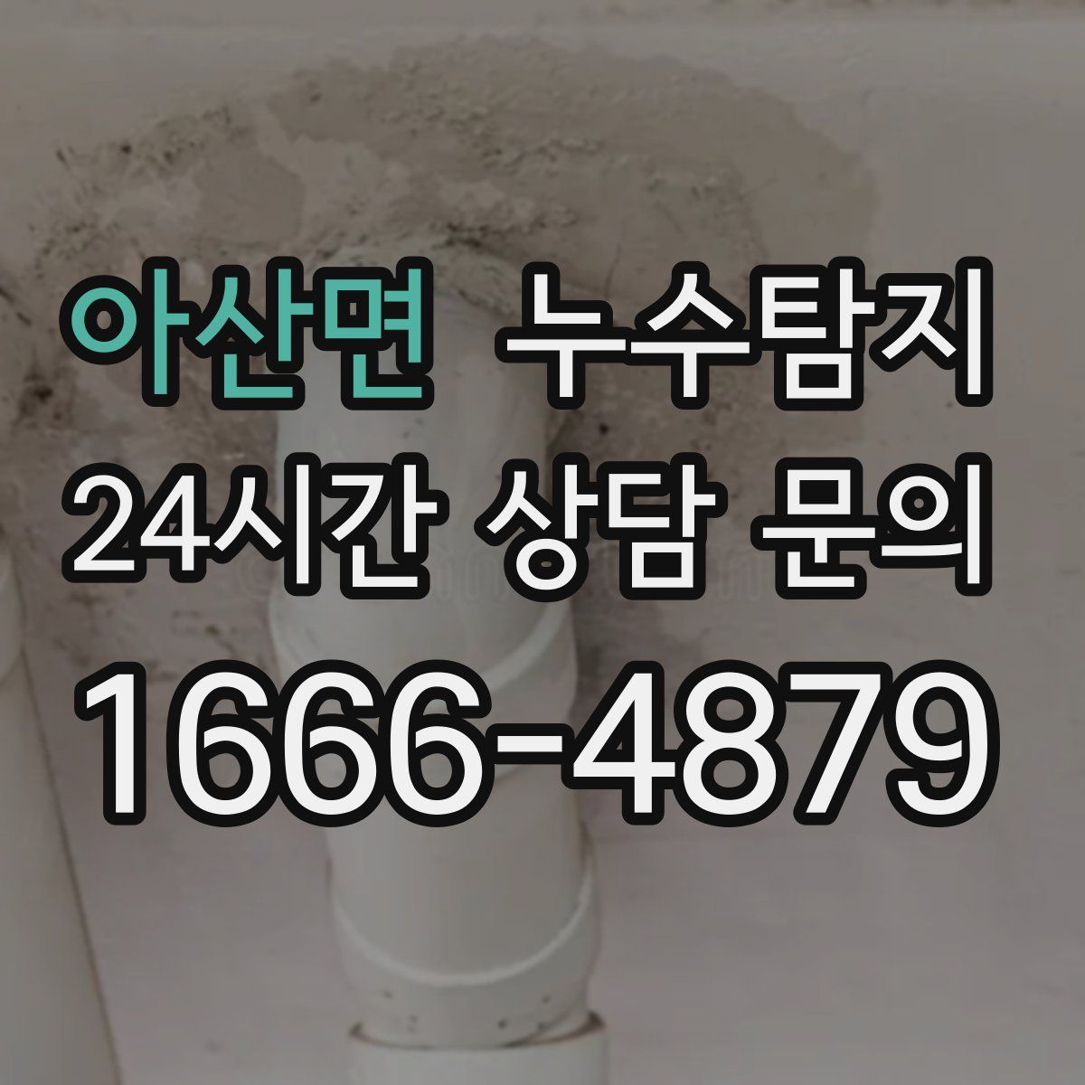 누수탐지