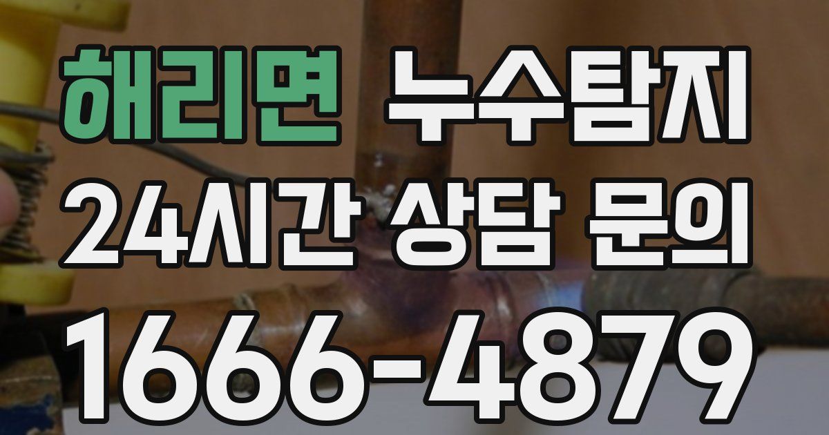 하수구막힘
