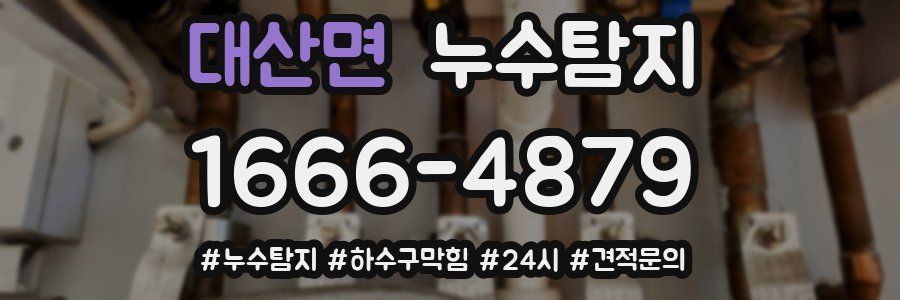 누수닥터 누수탐지