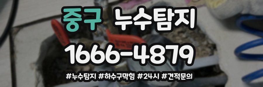 누수닥터 누수탐지