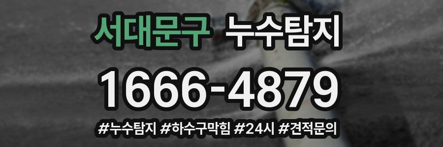 누수닥터 누수탐지