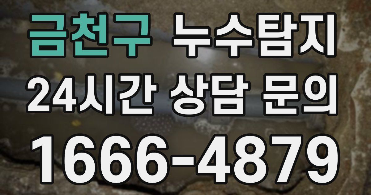 하수구막힘