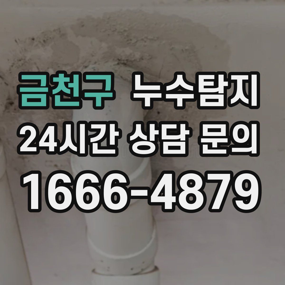 누수탐지