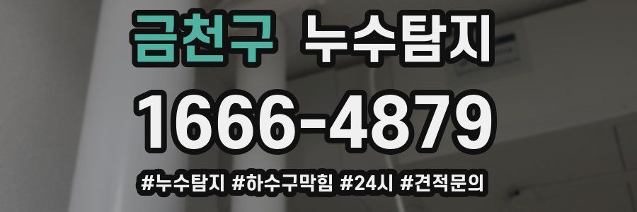 누수닥터 누수탐지