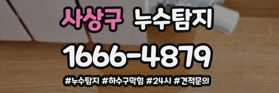 누수닥터 누수탐지