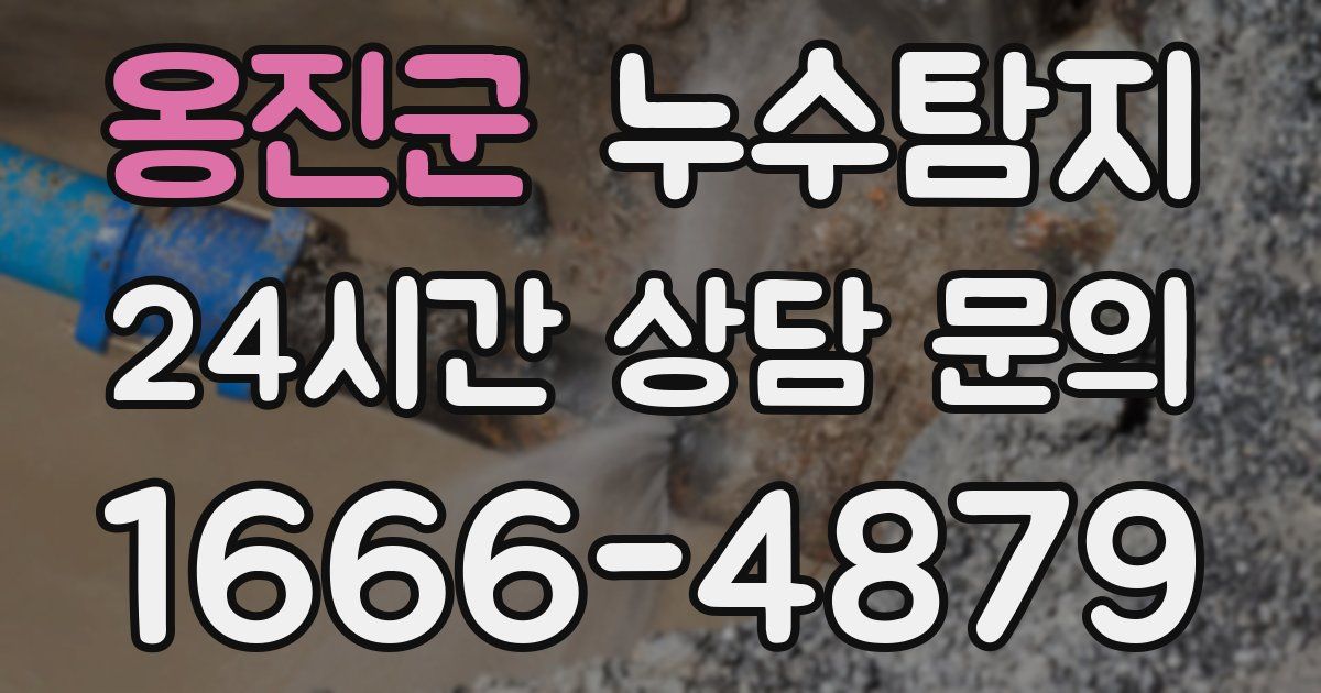 하수구막힘