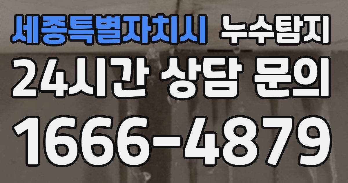 하수구막힘