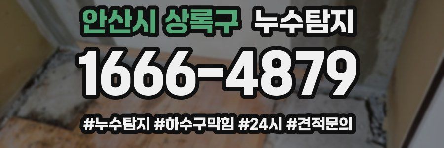 누수닥터 누수탐지