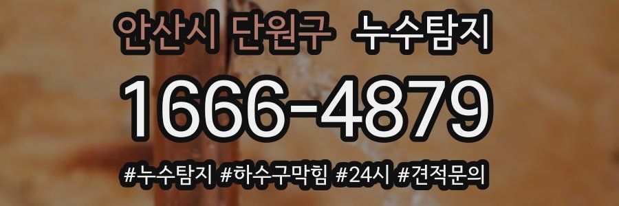 누수닥터 누수탐지