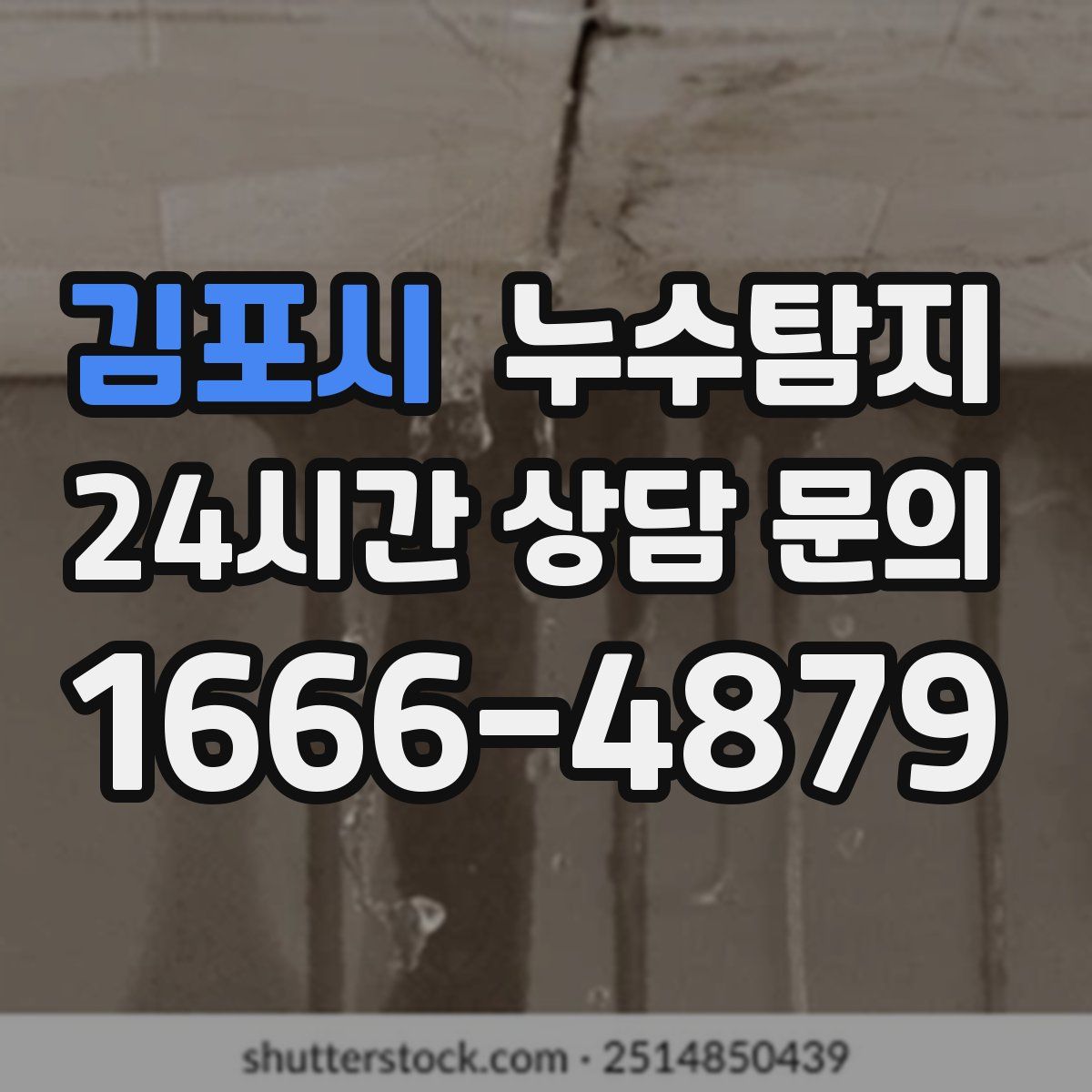 누수탐지