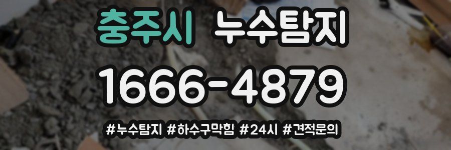 누수닥터 누수탐지
