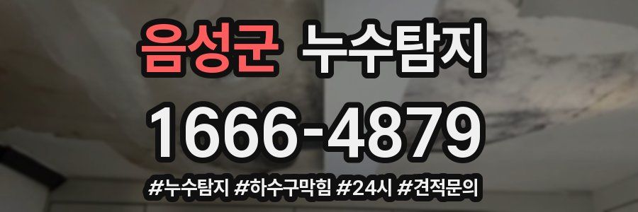 누수닥터 누수탐지