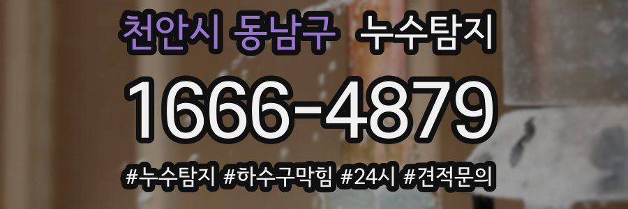 누수닥터 누수탐지