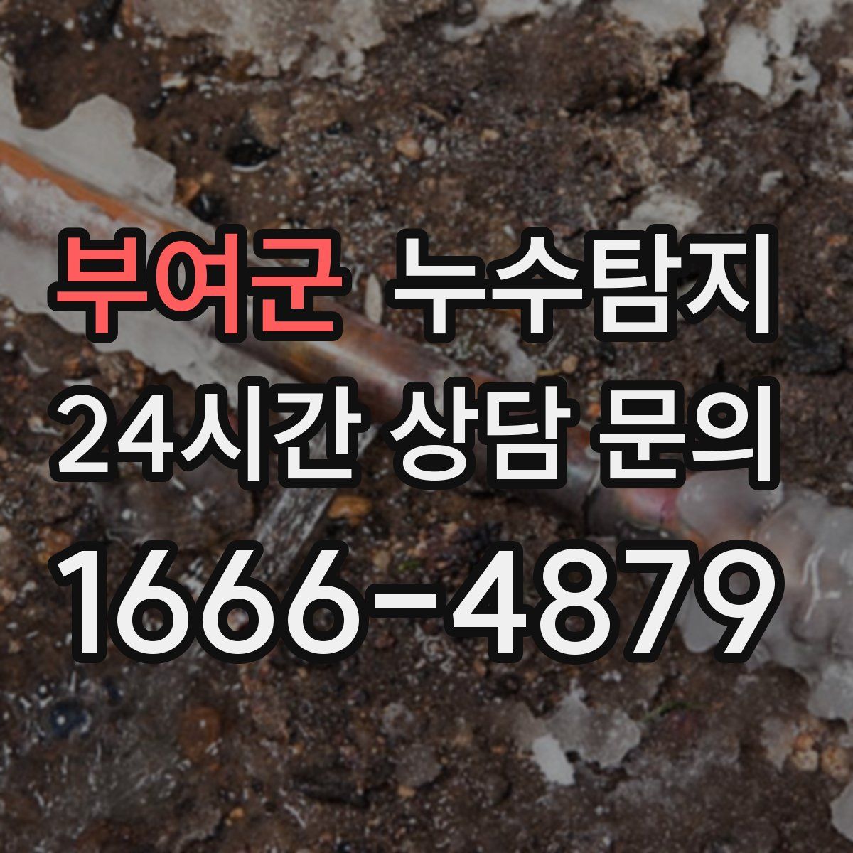 누수탐지
