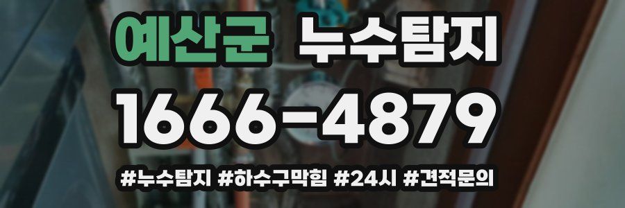 누수닥터 누수탐지