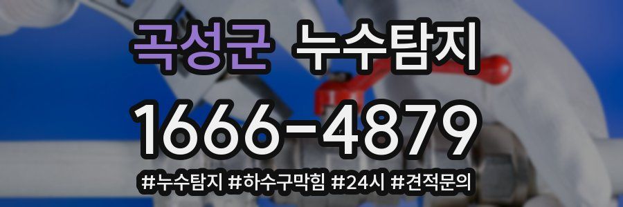 누수닥터 누수탐지