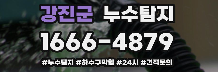 누수닥터 누수탐지