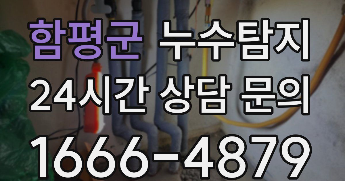 하수구막힘
