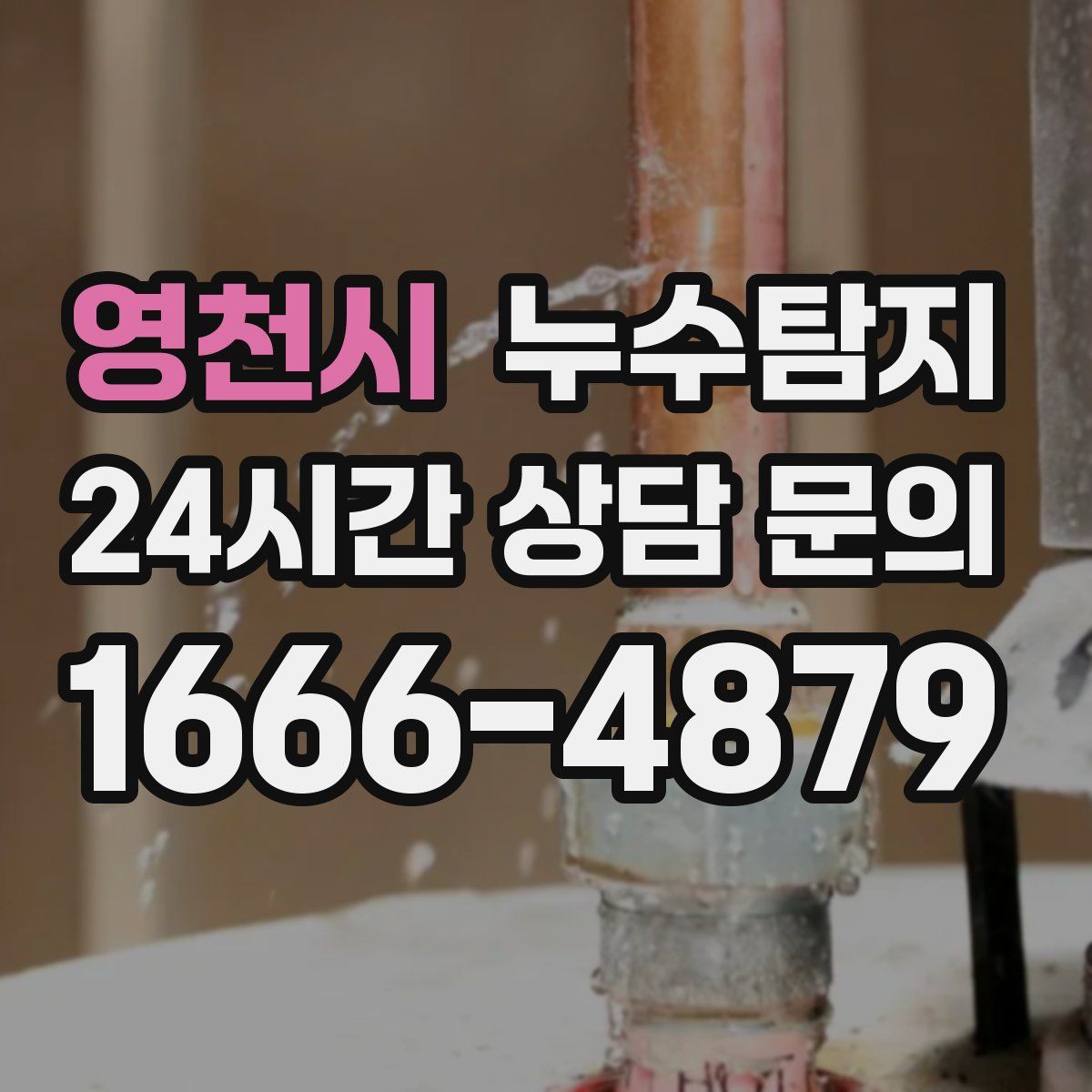 누수탐지