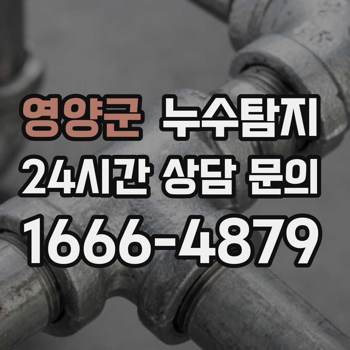 누수탐지