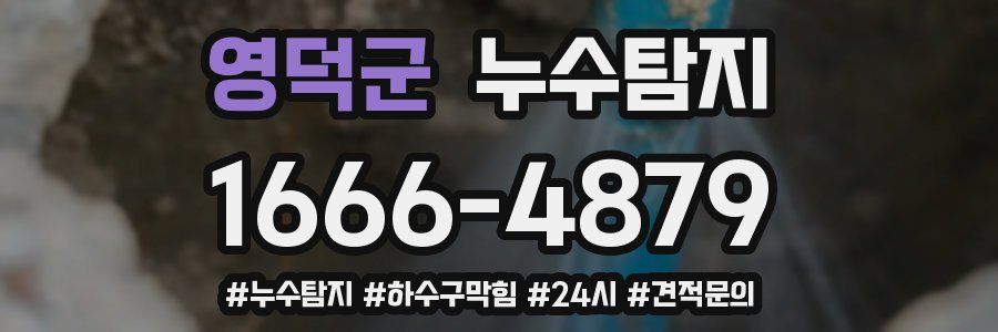 누수닥터 누수탐지