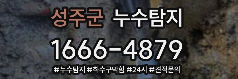 누수닥터 누수탐지