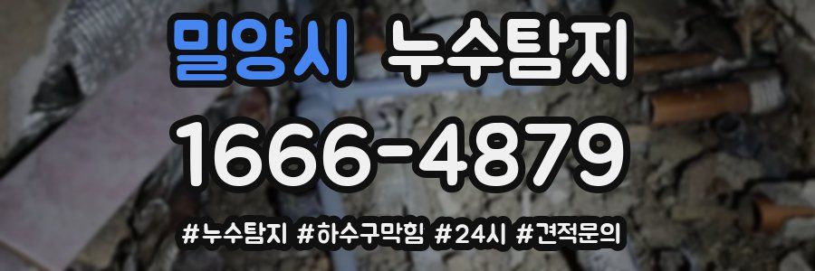 누수닥터 누수탐지