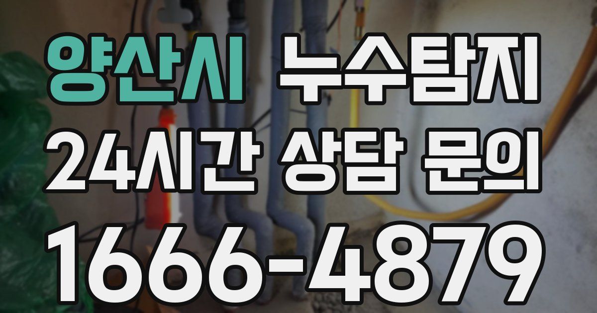 하수구막힘