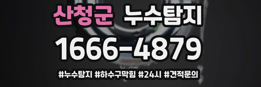 누수닥터 누수탐지