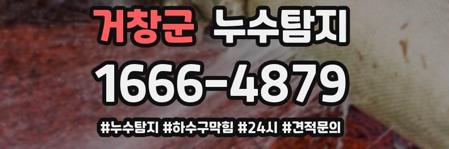 누수닥터 누수탐지