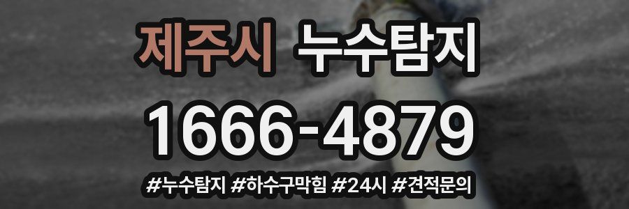 누수닥터 누수탐지