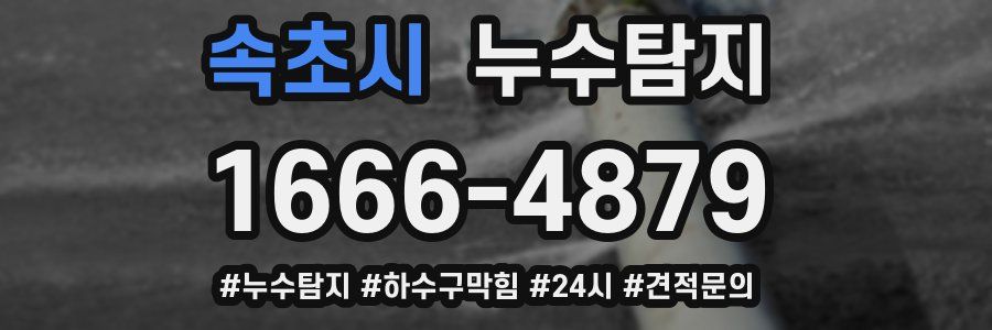 누수닥터 누수탐지