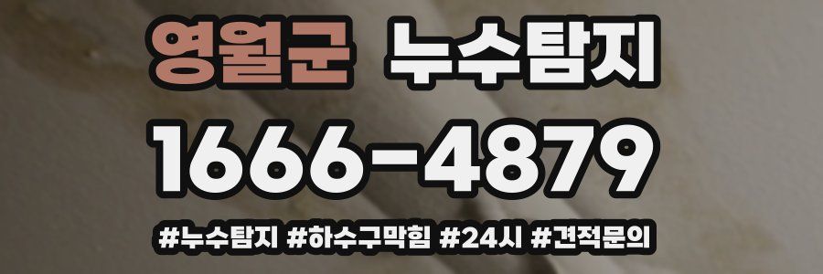 누수닥터 누수탐지