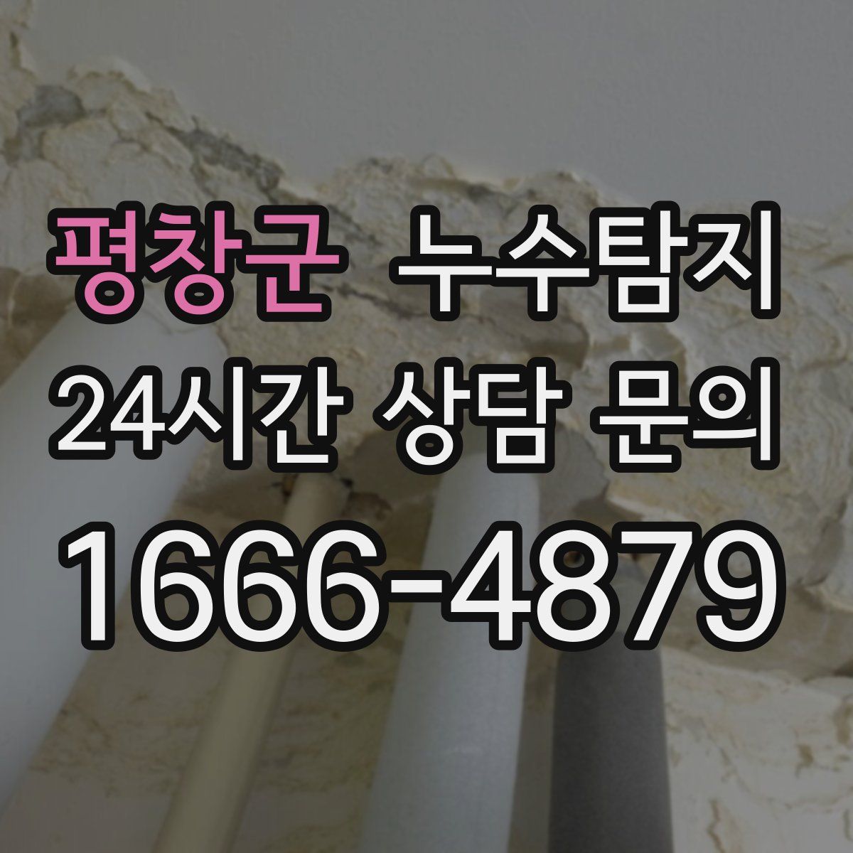누수탐지