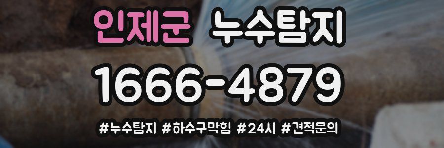 누수닥터 누수탐지