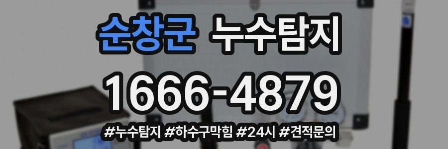 누수닥터 누수탐지