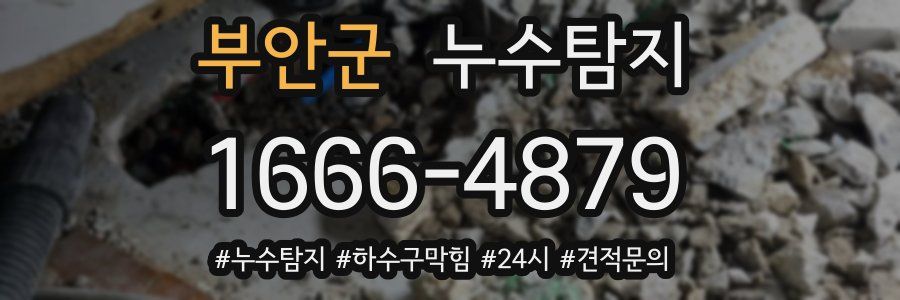 누수닥터 누수탐지
