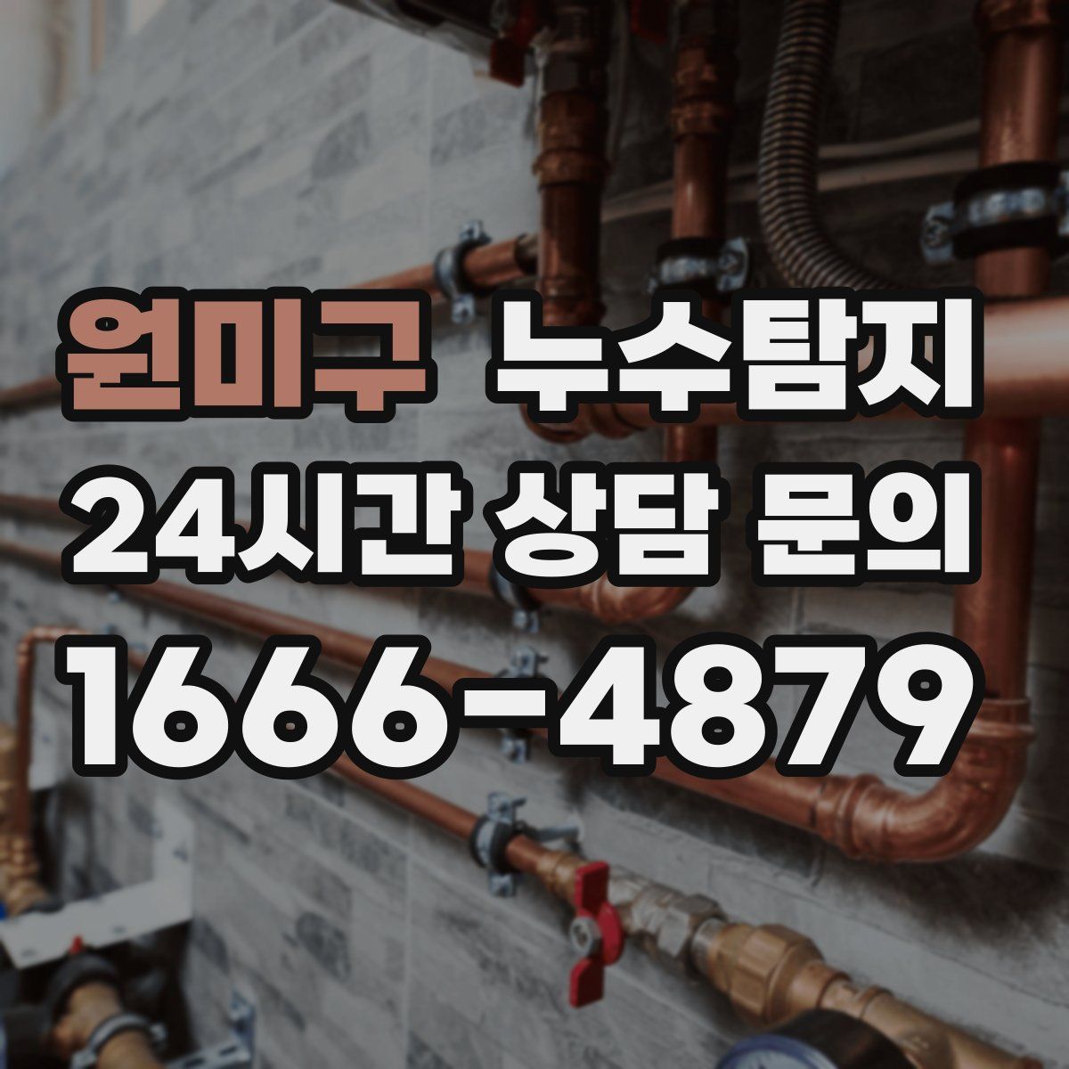 누수탐지