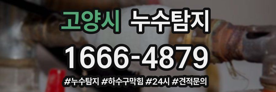 누수닥터 누수탐지