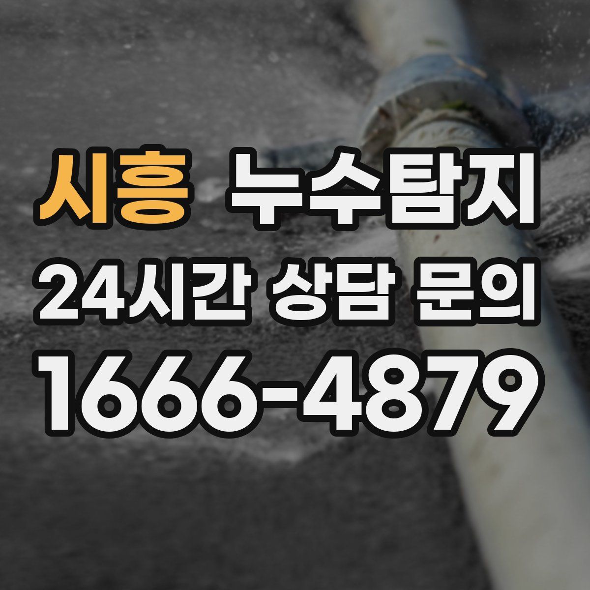 누수탐지