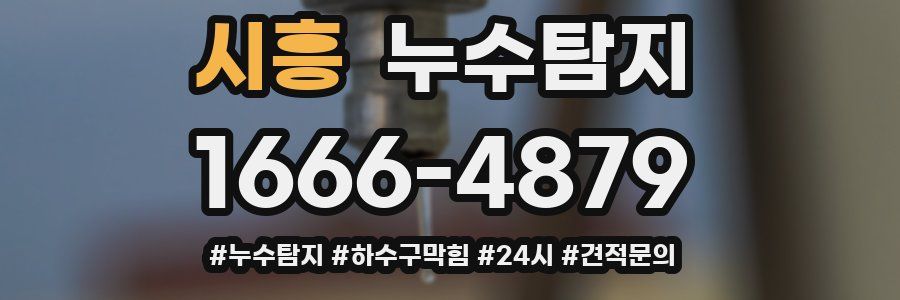 누수닥터 누수탐지