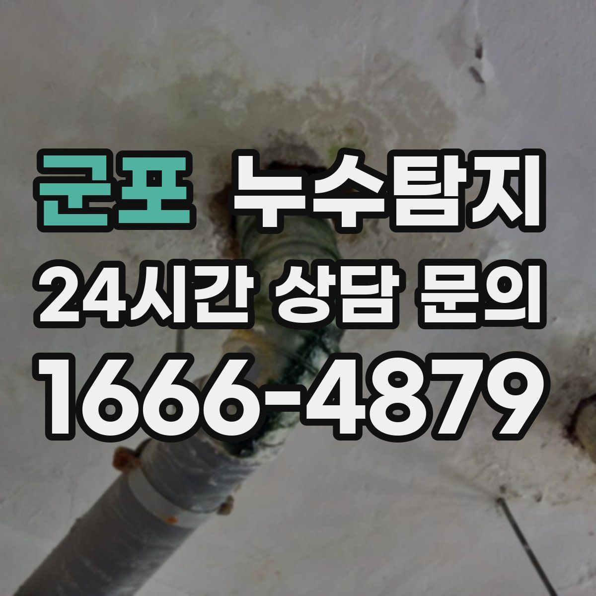 누수탐지