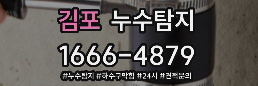 누수닥터 누수탐지
