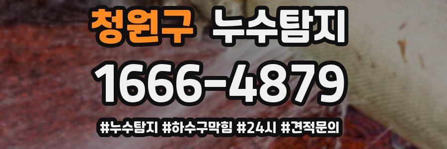 누수닥터 누수탐지