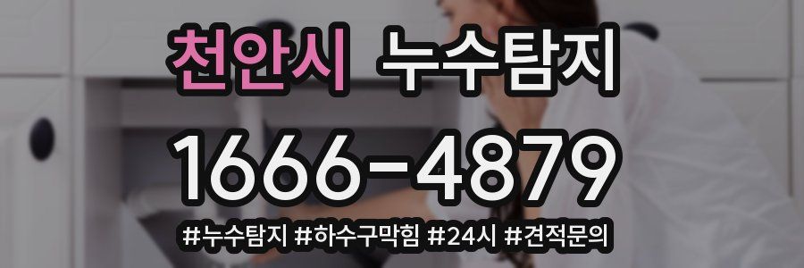 누수닥터 누수탐지