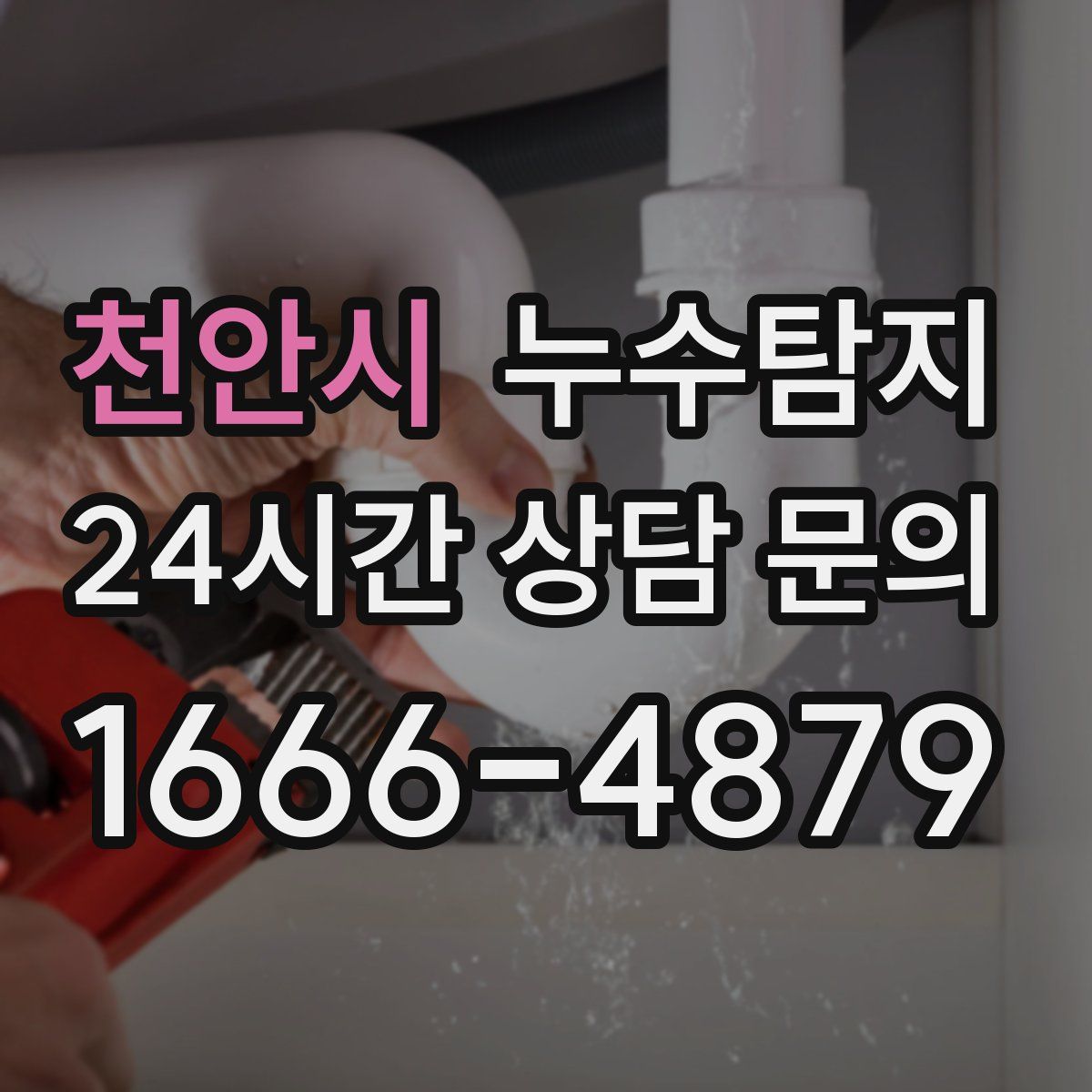 누수탐지