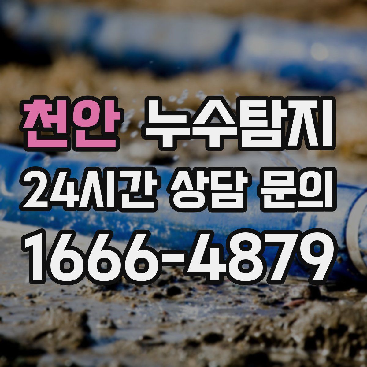누수탐지